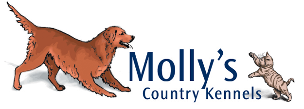 OUR TRAINING STAFF - Molly's Country Kennels