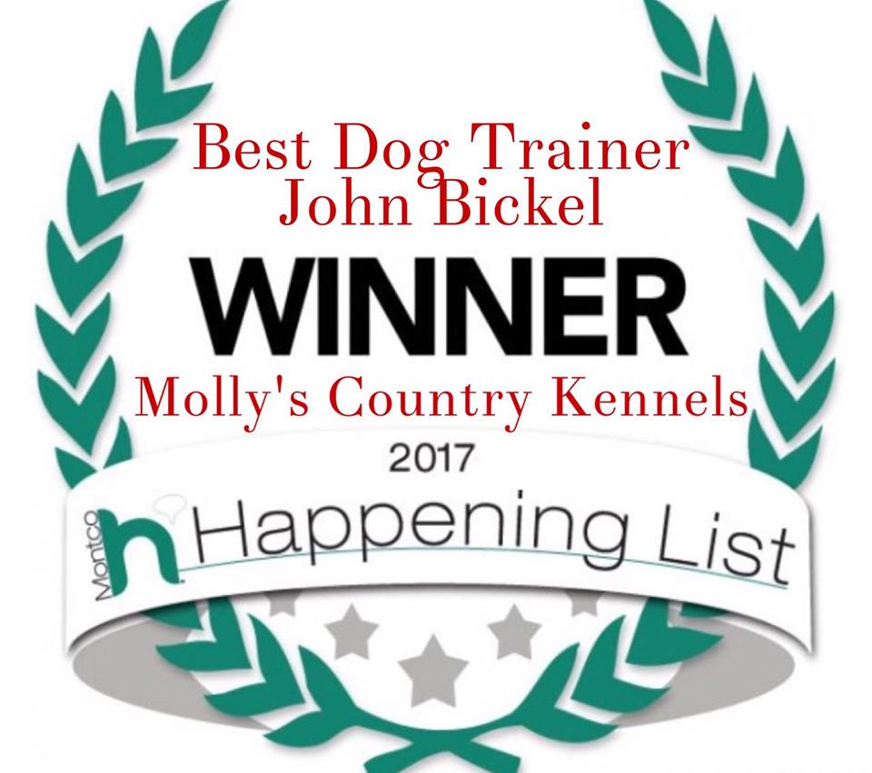 John Bickel, Dog Trainer, Molly's Country Kennels, Montgomery County Dog Trainer