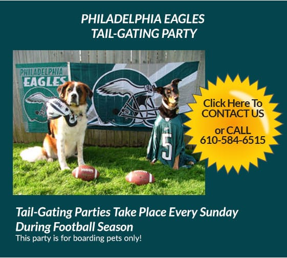 PHILADELPHIA EAGLES TAIL-GATING PARTY