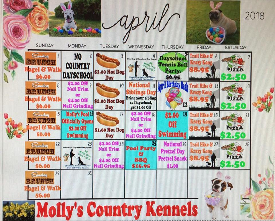 Welcome - Molly's Country Kennels